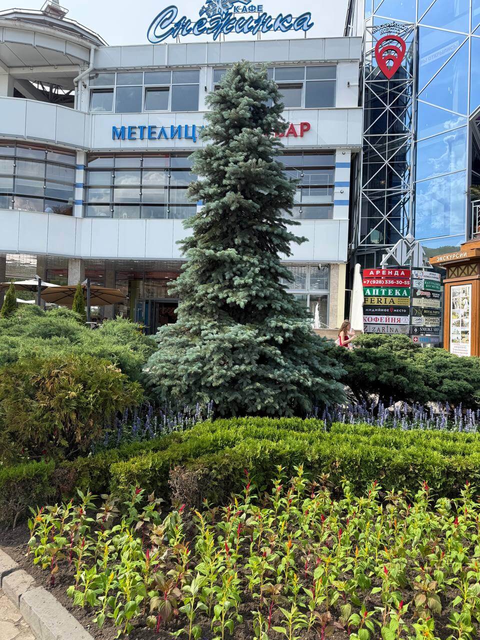 Озеленение территории из фотогалереи КБК